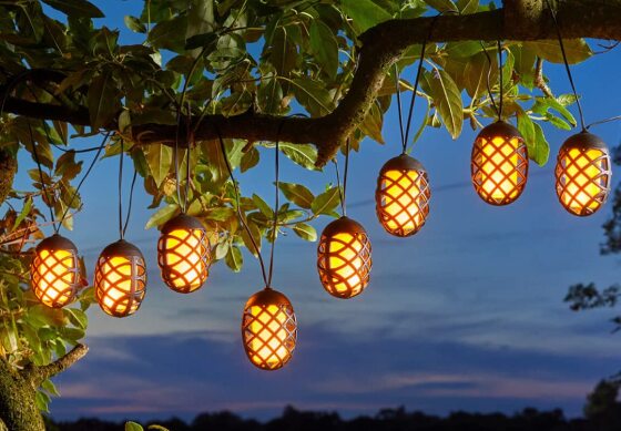 pwp-uk-backyardbuffs-festivelights-1.jpg
