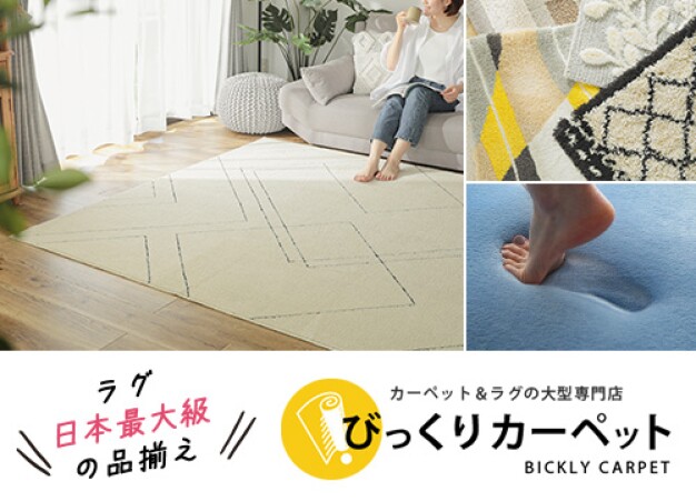 びっくりカーペット