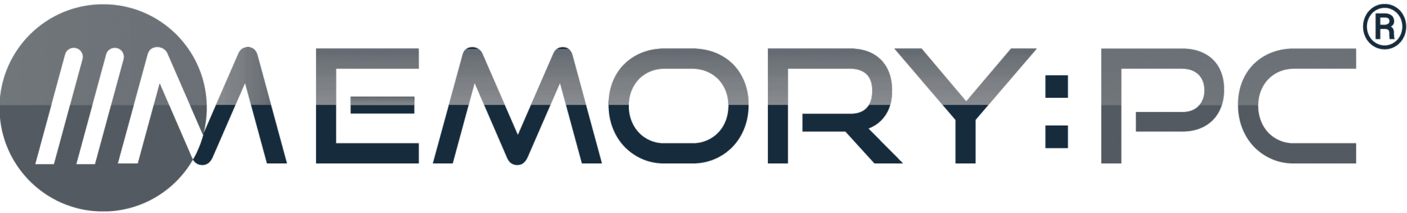 APM_LogosFormatted_3-20/MemoryPC_SquidInk.png